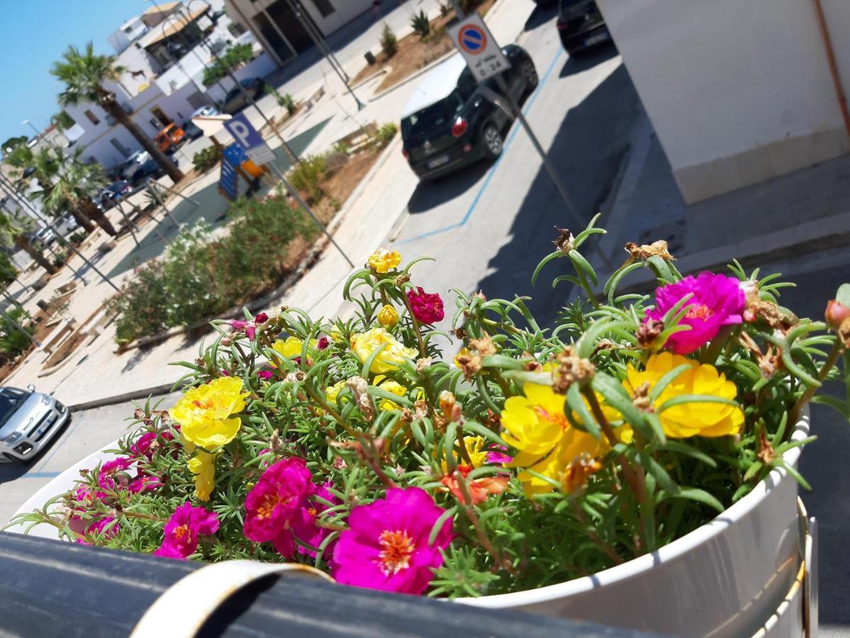 Finestra Azzurra Apartment San Vito Lo Capo Exterior photo